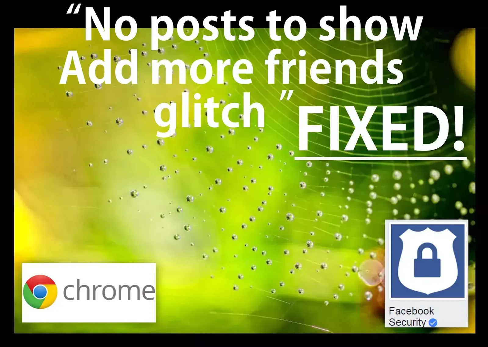 No-posts-to-show-Add-more-friends-glitch-FIXED