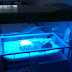 Battling Prolonged Jaundice: Part 1