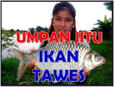 Enam Jenis Umpan Jitu Mancing Ikan Tawes