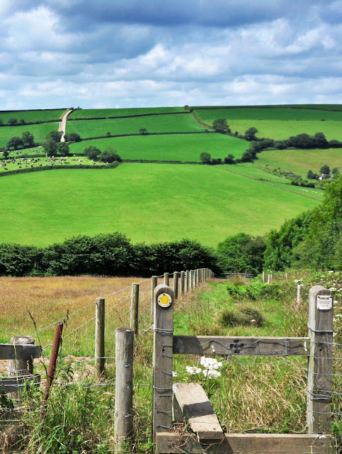 Walking near Golant, Cornwall, wonderful views across the countryside