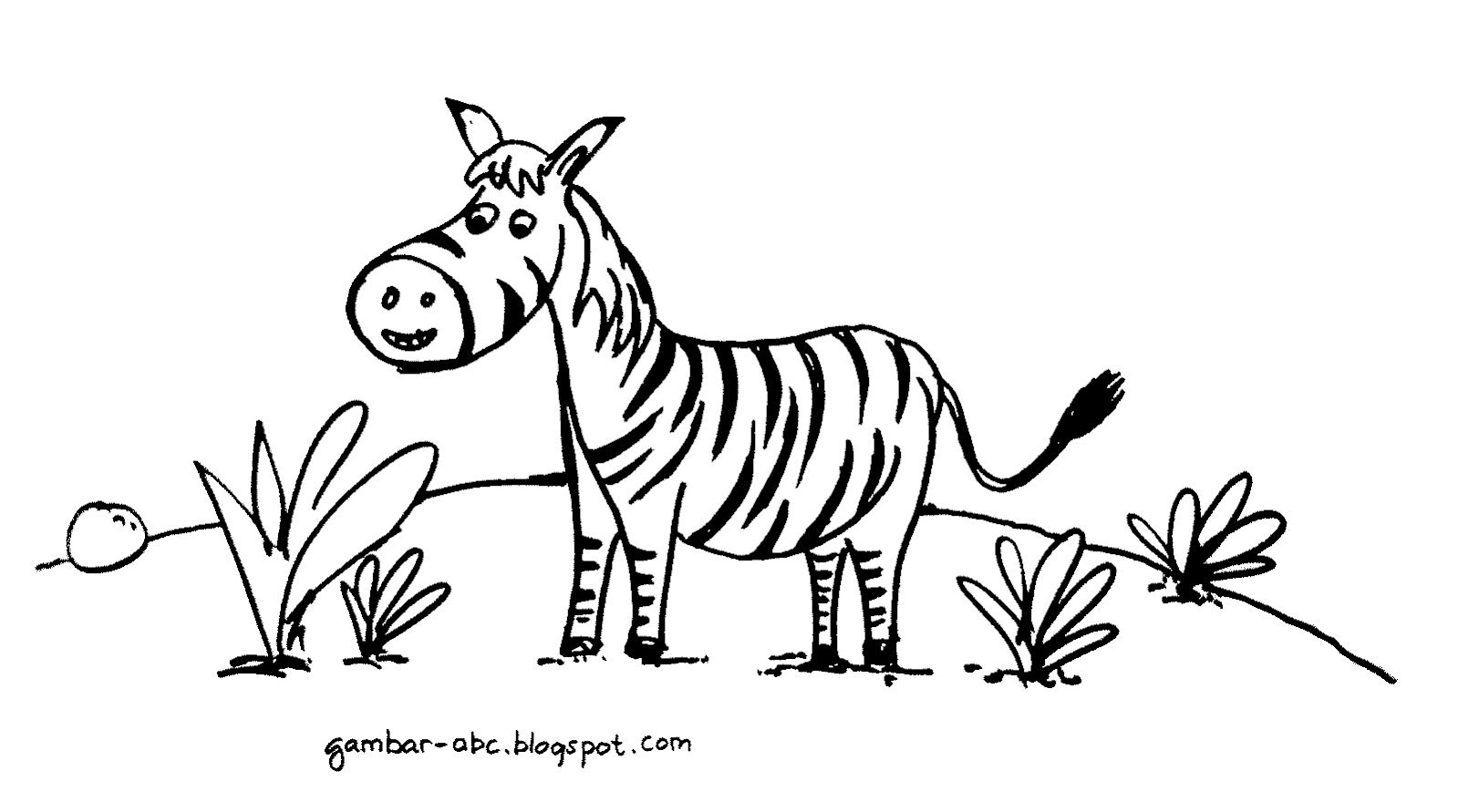 Mewarnai Gambar  Zebra  Contoh Gambar  Mewarnai