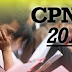 Formasi CPNS Pusat Dan Daerah 2014