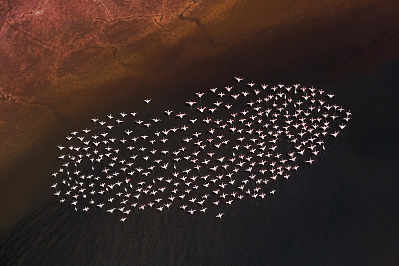 Lake Natron, Tanzania