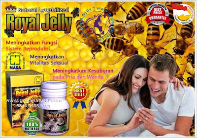 0818 0408 0101 (XL), herbal alami, obat madu, madu anak, madu penyubur, penuaan dini, penambah stamina, herbal madu, obat stamina, vitalitas pria, subur kandungan, 