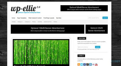 WP-Ellie Solostream Wordpress Template