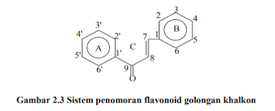 Hubungan Struktur dan Kereaktifan Senyawa Turuan Flavonoid