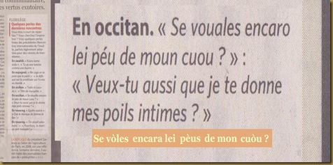 Vulgaritat occitana