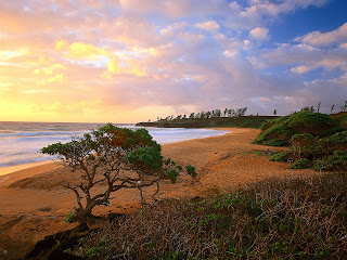 Exotic Hawaiian Beaches