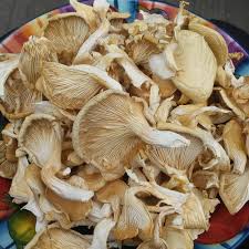 Dried Mushroom Supplier In Jalna | Wholesale Dry Mushroom Supplier In Jalna | Dry Mushroom Wholesalers In Jalna