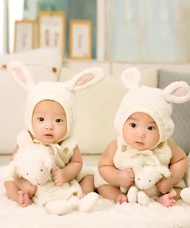 Theory behind identical and fraternal twins