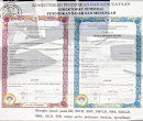 Juknis Penulisan Ijazah 2018 2019 SD SMP SMA SMK