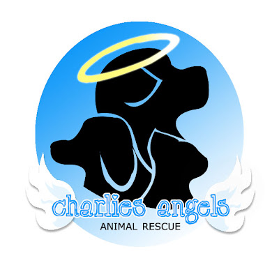 charlies angels logo. Charlie#39;s Angels Animal Rescue