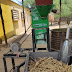  En el oeste avanza el proceso para producir harina de algarroba