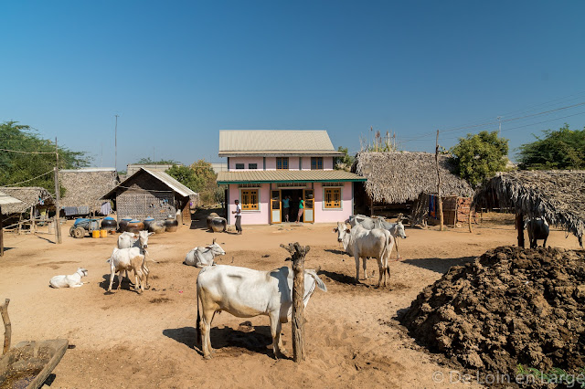 Village de Pwa Saw - Région de Bagan - Birmanie Myanmar