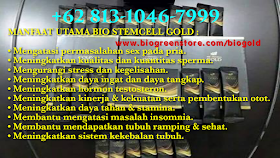 manfaat bio sc gold, membedakan apple stem cell asli dan palsu, obat kuat bio stemcell gold, dosis bio stemcell gold, ciri ciri bio gold stemcell palsu, cara minum bio stemcell gold, bio stemcell gold surabaya, , manfaat, bio stemcell gold diminum siang hari, testimoni bio stemcell gold, bio stemcell gold palsu, bio stemcell gold asli dan palsu, Khasiat bio stemcell gold, Kegunaan bio stemcell gold, harga bio stemcell gold, harga bio gold stemcell, apa itu bio stemcell gold, aturan minum bio stemcell gold, bio stemcell gold kegunaan, aturan pakai bio stemcell gold, agen bio stemcell gold batam, jual bio stemcell gold eceran, jual bio stemcell gold