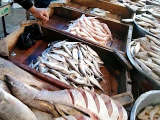 سوق الميدان بالاسكندريه للمأكولات البحرية