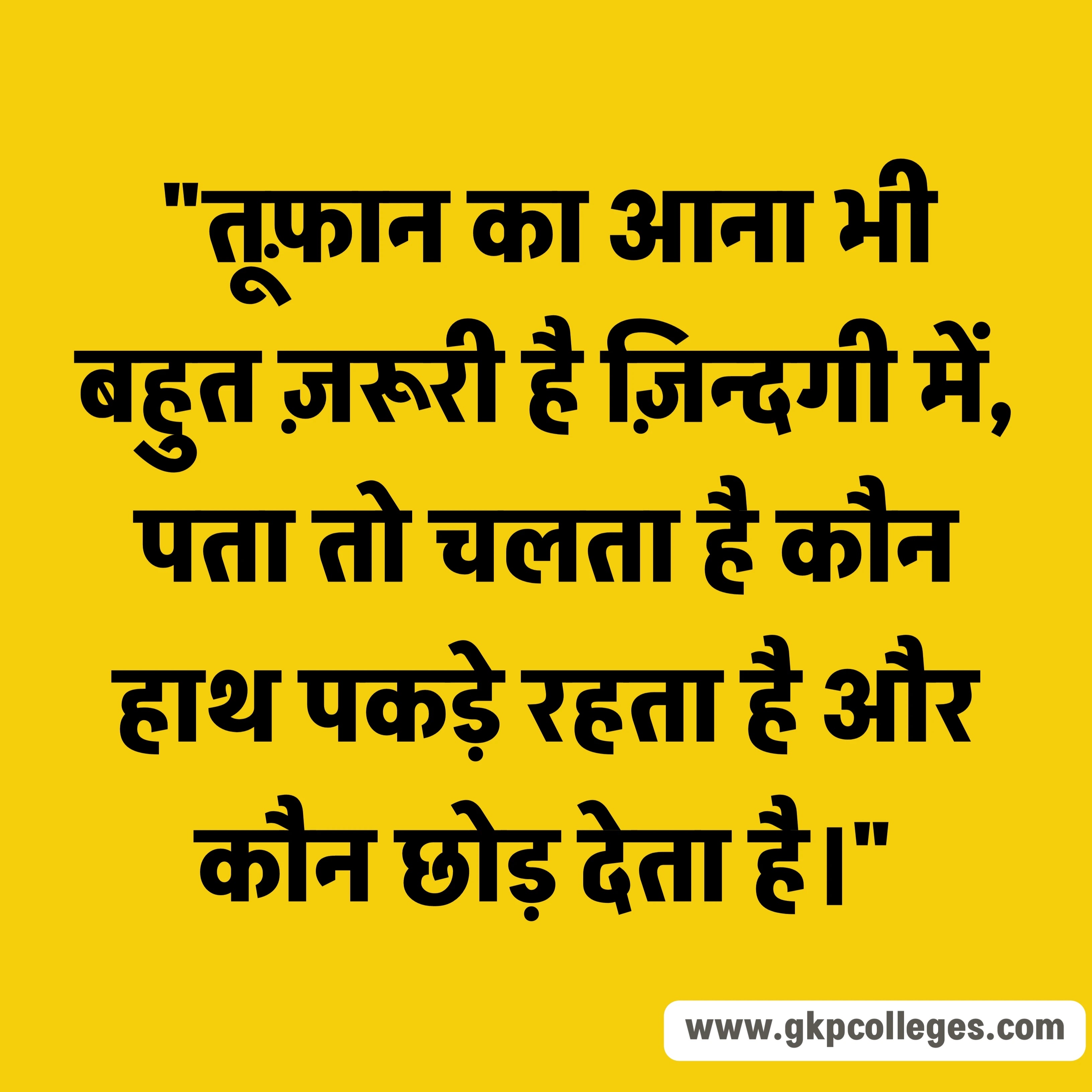 Best Hindi Quotes on Life 6