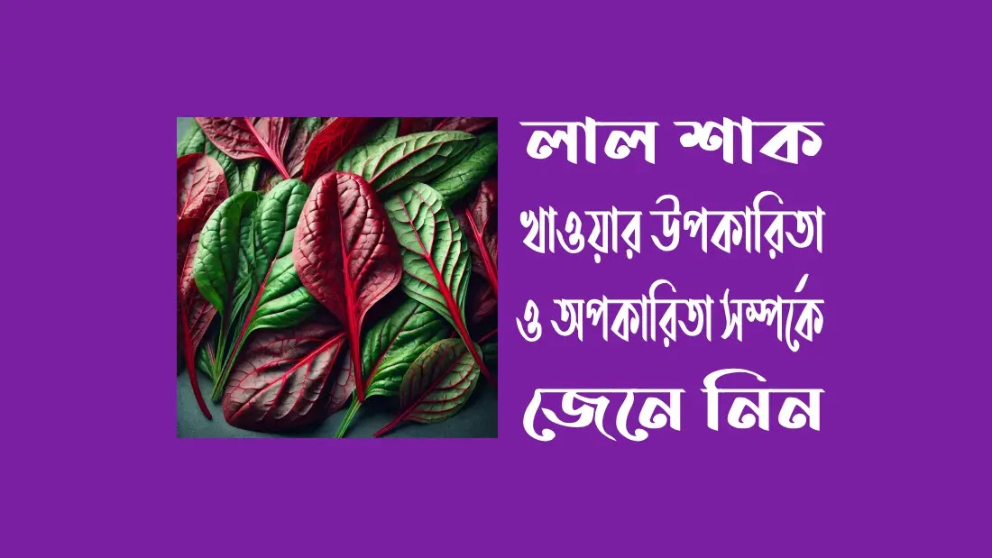 লাল-শাক-খাওয়ার-উপকারিতা-ও-অপকারিতা