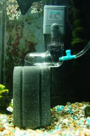 Sponge CO2 Reactor, Diffuser for Planted Freshwater Aquarium