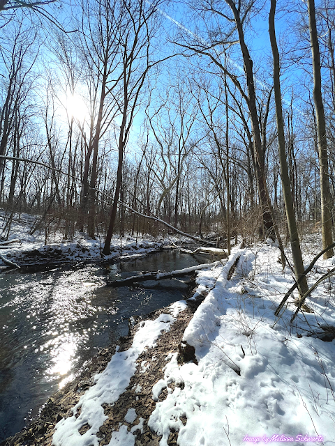 The snow-covered banks of Brandywine Creek along with snowy downed trees craft a magical winter scene.