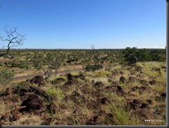 180508 016 Bottle Tree Ridge Near Hughenden