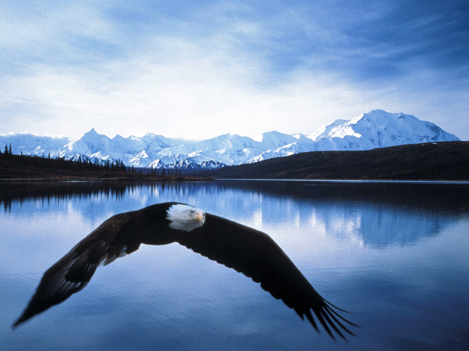The Top 5 National Parks in Alaska