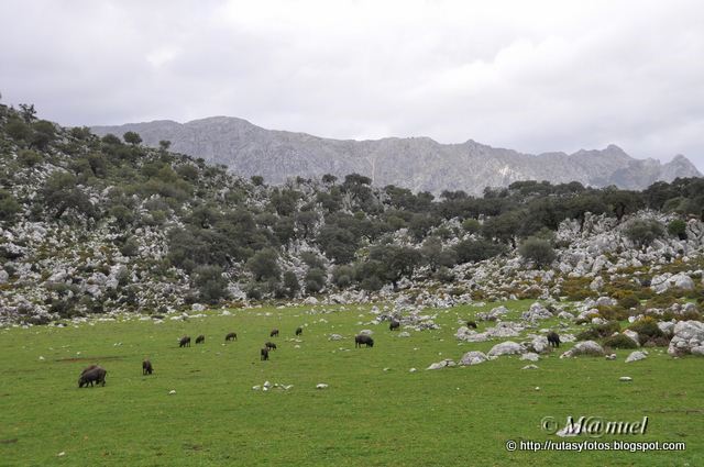 Benaocaz - Casa Fardela - El Dornajo - Salto del Cabrero