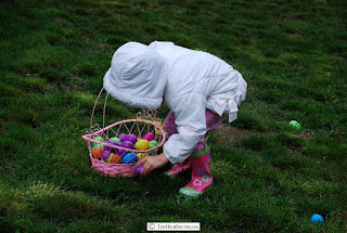 Blue Ridge Mountains Easter