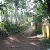 Boisar West, 5 Acres, Residential Plot / Land for Sale, Boisar West, Maharashtra.