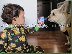 08 atividade fotolivro 2012 (16)