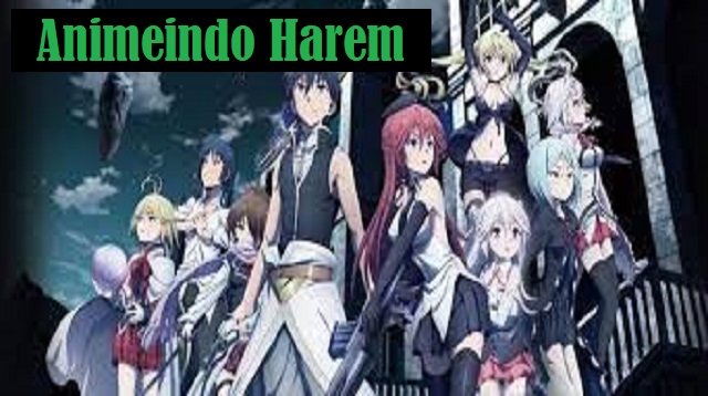 Animeindo Harem