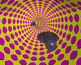 Einstein Time Travel Optical Illusion