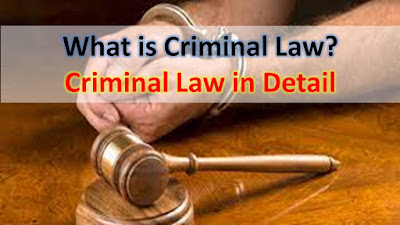 What is Criminal Law? Criminal Law in Detail