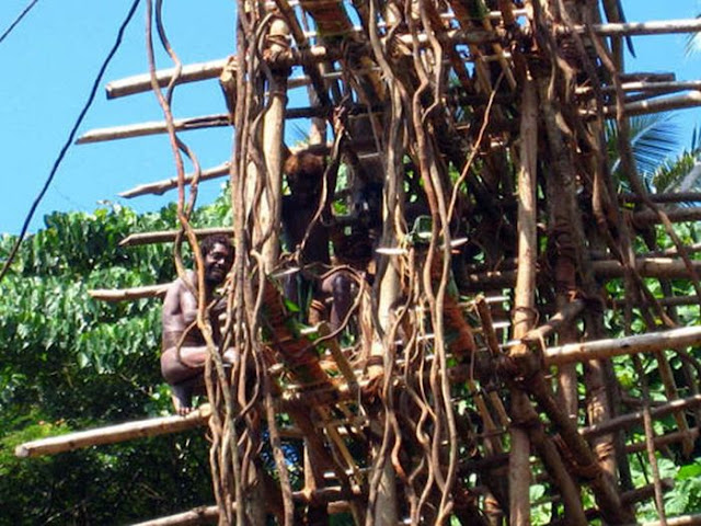 Land Diving In Vanuatu