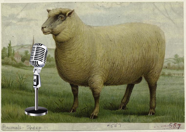 A sheep standing in front of a microphone