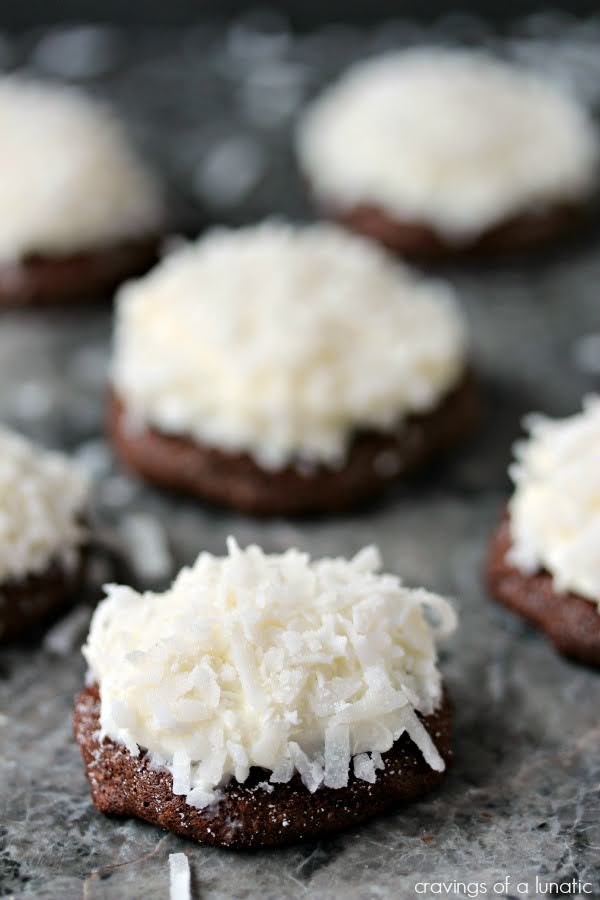 Chocolate Coconut Cookies | Cravings of a Lunatic