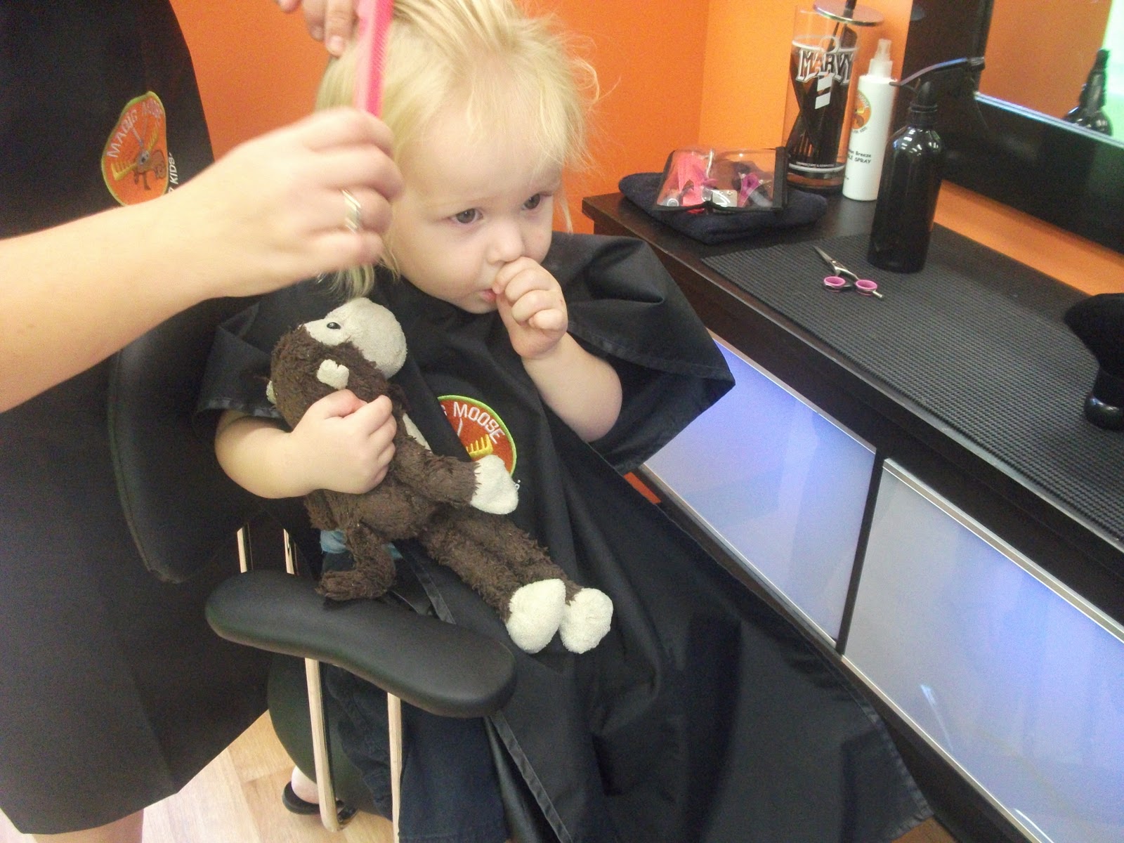 Image for  Kids First Haircut  8