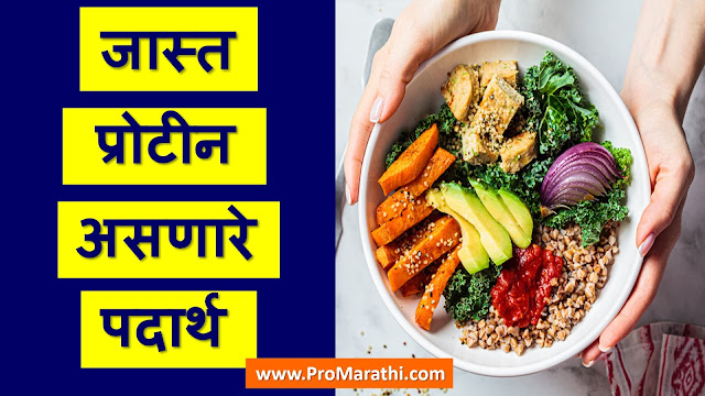 High Protein Foods in Marathi