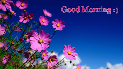 Top 165+ HD good morning images wishes - best good morning pic