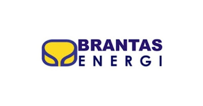 Lowongan Kerja BUMN PT Brantas Energi