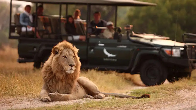Okavango Delta Game Drive