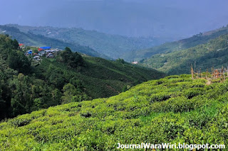 Symbolic of tea, Darjeeling is a small mountain place in Western Bengal