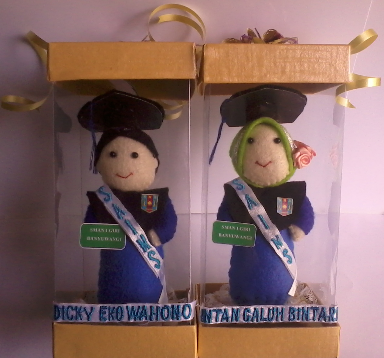 BONEKA WISUDA SMAN I GIRI (EDISI TOGA) : Toko Online 