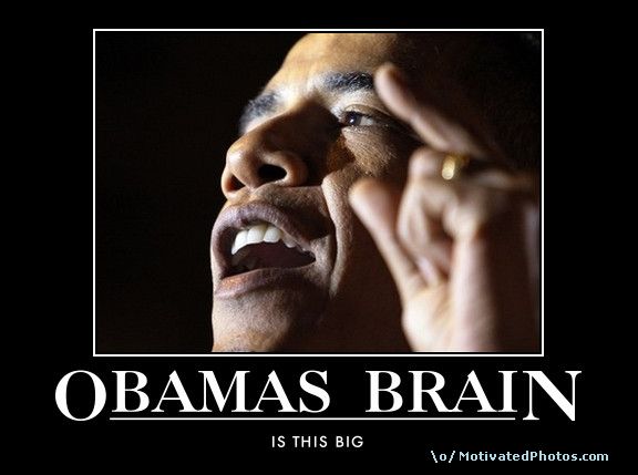 funny brain. lol funny brain obamas rain