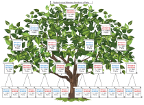 Genealogický stromový diagram předků - šablona