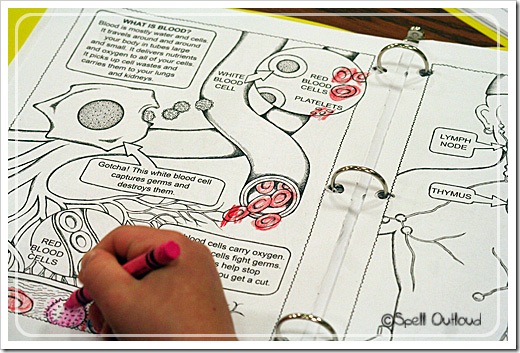 coloringbookredbloodcells