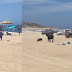 Bull attacks woman on popular Mexico beach while helpless beachgoers watched (VIDEO)