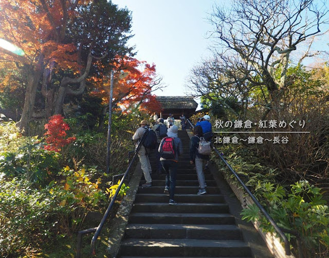 鎌倉の紅葉巡り：東慶寺