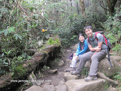 Climbing Mount Kinabalu, Kota Kinabalu, Malaysia