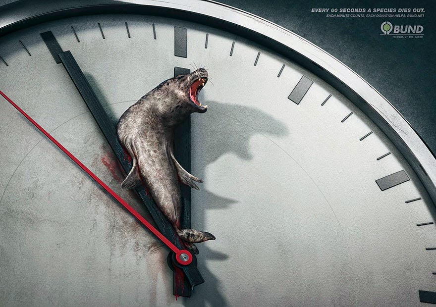 40 Of The Most Powerful Social Issue Ads That’ll Make You Stop And Think - Every 60 Seconds a Species Dies Out. Each Minute Counts